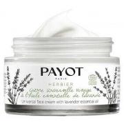 Soins visage Payot HERBIER crème universelle 50 ml