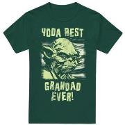 T-shirt Disney Best Grandad