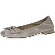 Ballerines Caprice -