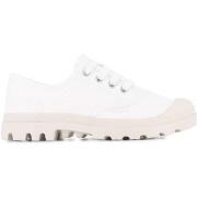 Baskets Palladium PAMPA OXFORD