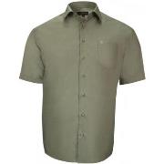 Chemise Doublissimo chemisette forte taille unie primino vert