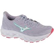 Chaussures Mizuno Wave Sky 8