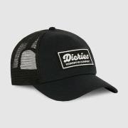 Casquette Dickies Lewistown trucker