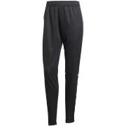 Pantalon adidas Sq25 Tr Pnt W