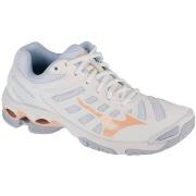 Chaussures Mizuno Wave Voltage