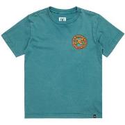 T-shirt DC Shoes Spinner