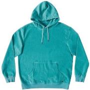 Sweat-shirt DC Shoes SHOES - Sweat à capuche - turquoise