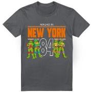 T-shirt Teenage Mutant Ninja Turtles TMNT NYC