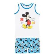 Ensembles enfant Disney Ensemble Garçon Bleu