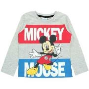 T-shirt enfant Disney T-shirt Garçon Gris