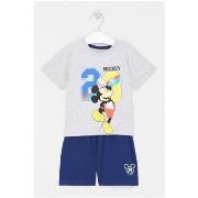 Ensembles enfant Disney Ensemble Garçon Gris