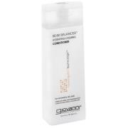 Giovanni 50/50 Gebalanceerde Conditioner 250 ml