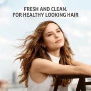 Wella Professionals Care Invigo Balance Refresh Wash Revitalizing Sham...