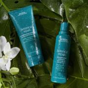 Aveda Botanical Repair Shampoo and Conditioner Duo