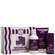 Wella Professionals Care Ultimate Color Travel Set