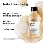 L'Oréal Professionnel Absolut Repair Shampoo and Mask Duo