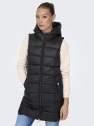 Bodywarmer 'JDYZULU'