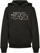 Sweatshirt 'Fantastic Beasts'