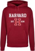 Sweatshirt 'Harvard University - Est 1636'