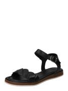 Sandalen met riem 'INEZ'