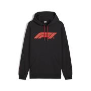 Sweatshirt 'F1® ESS'