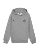 Sportief sweatshirt 'BVB ESS'