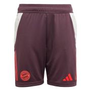 Sportbroek 'FC Bayern Tiro 24'