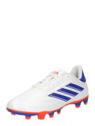 Voetbalschoen 'Copa Pure 2 Club'