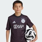 Functioneel shirt 'Ajax Amsterdam Pre-Match'