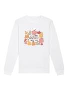 Sweatshirt 'pumpkins It is the most wonderful time of the year'