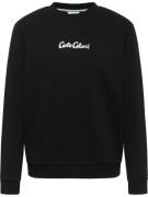 Sweatshirt 'Dioda'