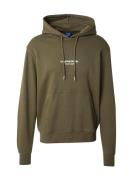 Sweatshirt 'JORVESTERBRO'