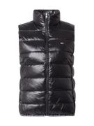 Bodywarmer 'ESSENTIAL'