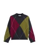 Oversized trui ' AAELGIAS ARGYLE '