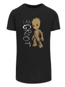 T-Shirt 'Marvel Guardians of the Galaxy I am Groot'