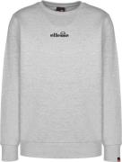 Sweat-shirt 'Kiamto'