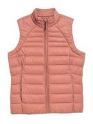 Gilet de sport