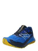 Chaussure de course 'Nitrel V5'