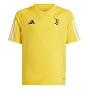 T-Shirt fonctionnel 'Juventus Turin Tiro 23'