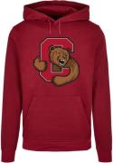 Sweat-shirt 'Cornell University - Bear'