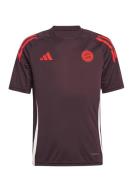 T-Shirt fonctionnel 'FC Bayern Tiro 24'