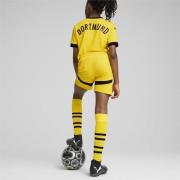 Pantalon de sport 'Borussia Dortmund 24/25'