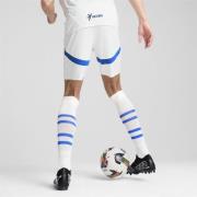 Pantalon de sport 'Al Hilal Saudi F.C. 24/25'