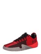 Chaussure de sport 'TriBase Reign 6'