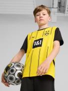 T-Shirt fonctionnel 'Borussia Dortmund 24/25 Heim'