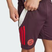 Pantalon de sport 'FC Bayern Tiro 24'