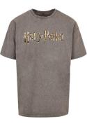 T-Shirt 'Harry Potter - Colour Logo'