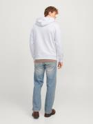 Sweat-shirt 'JORVESTERBRO'