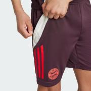 Pantalon de sport 'FC Bayern Tiro 24'