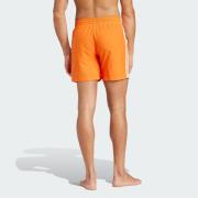 Shorts de bain